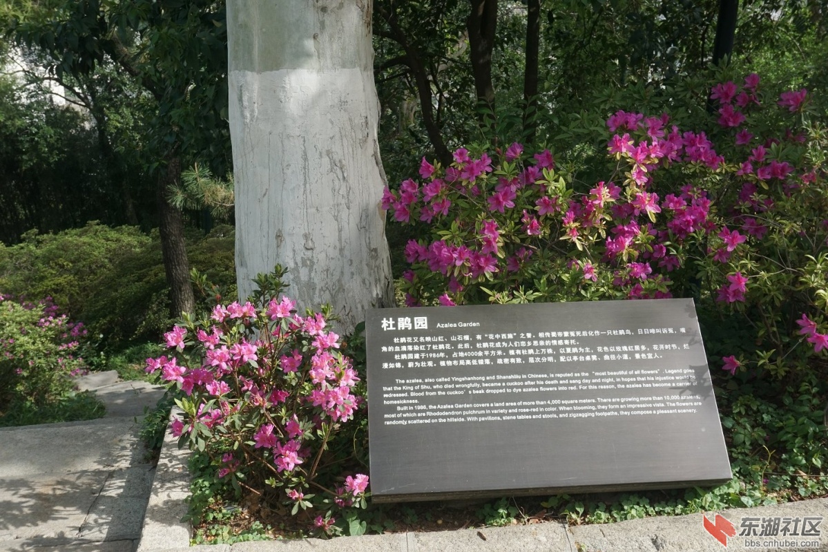 DSC00687.JPG
