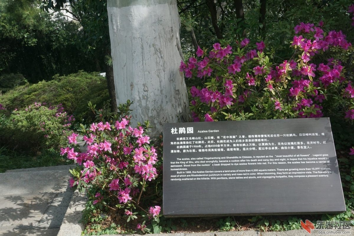 DSC00697.JPG