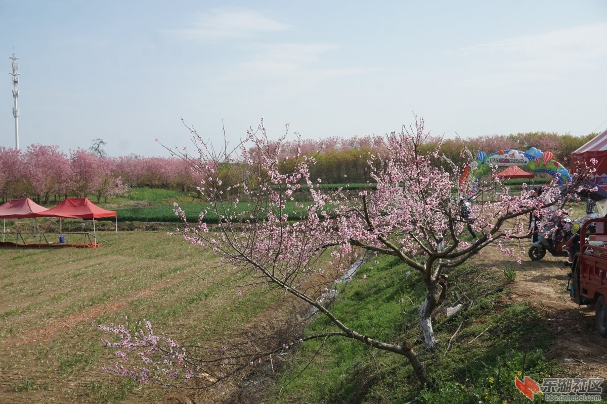 DSC03364.JPG