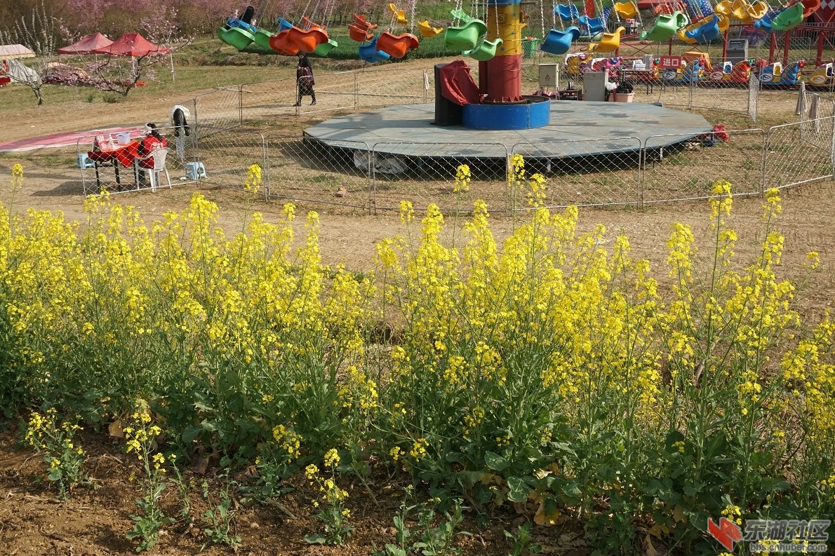 DSC03425.JPG
