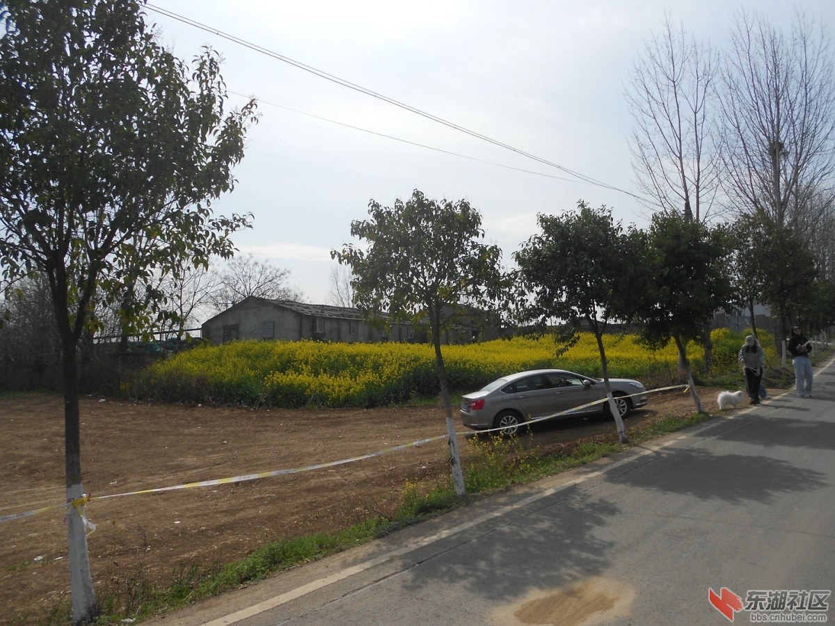 DSCN0805.JPG