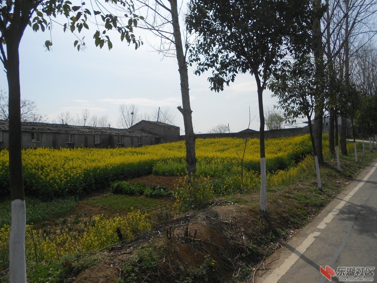 DSCN0806.JPG