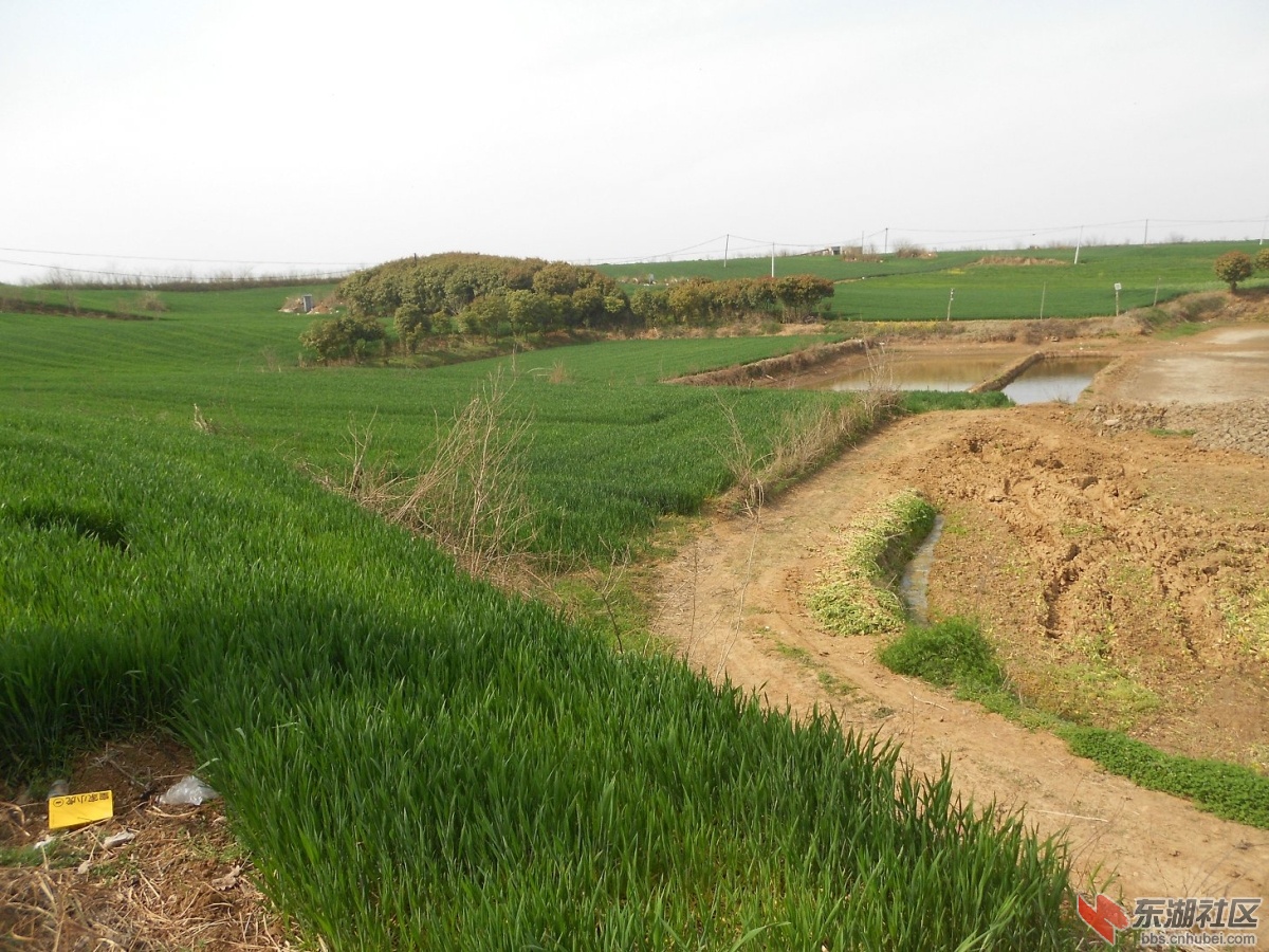 DSCN0809.JPG
