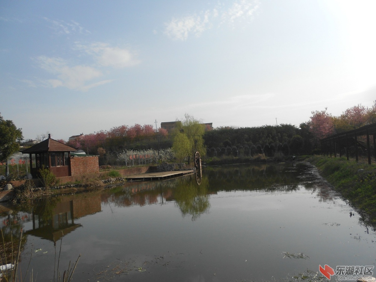 DSCN0830.JPG
