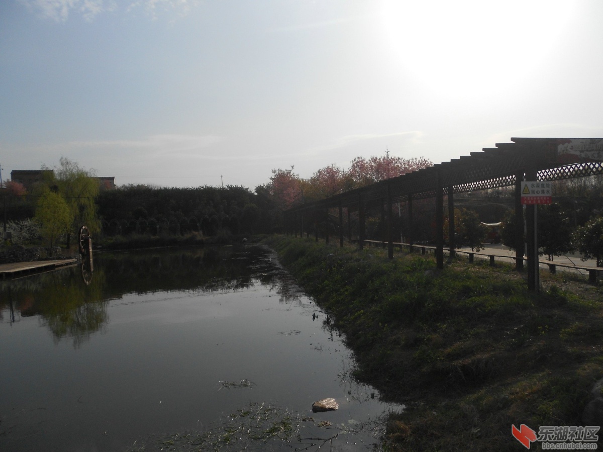 DSCN0832.JPG