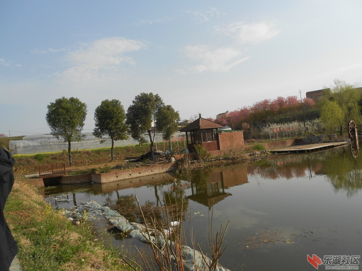 DSCN0833.JPG