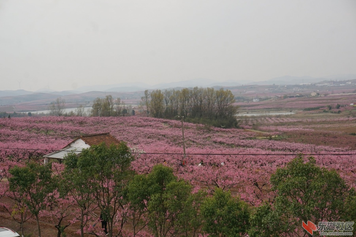 DSC04292.JPG
