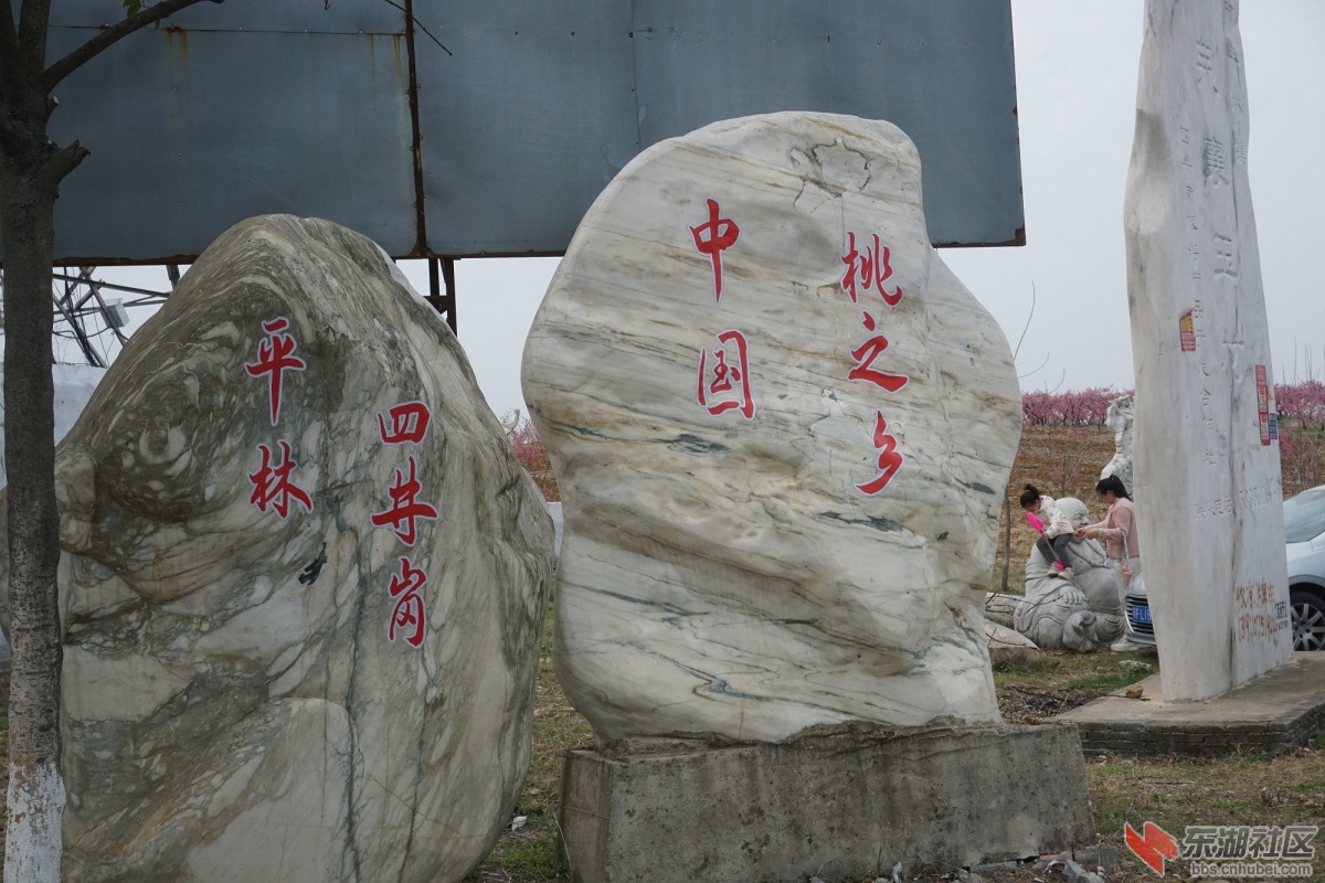 DSC04186.JPG