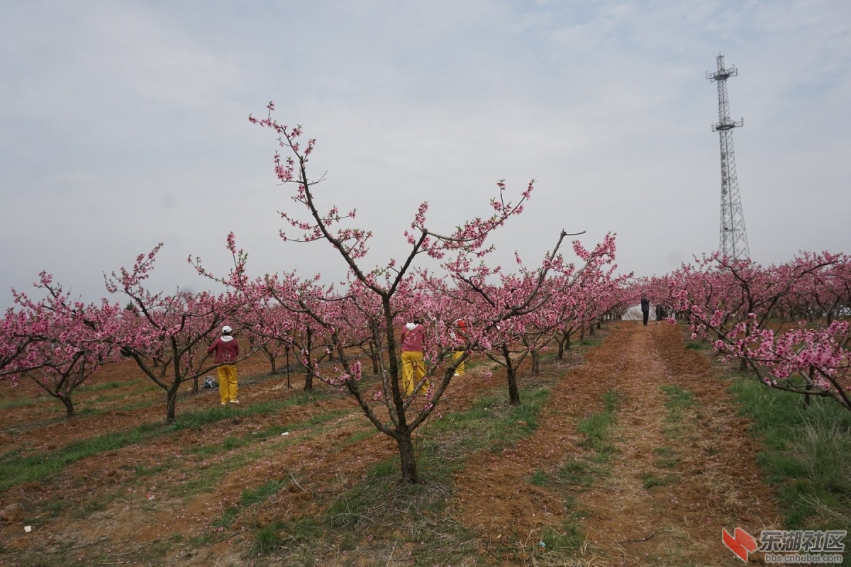 DSC04224.JPG