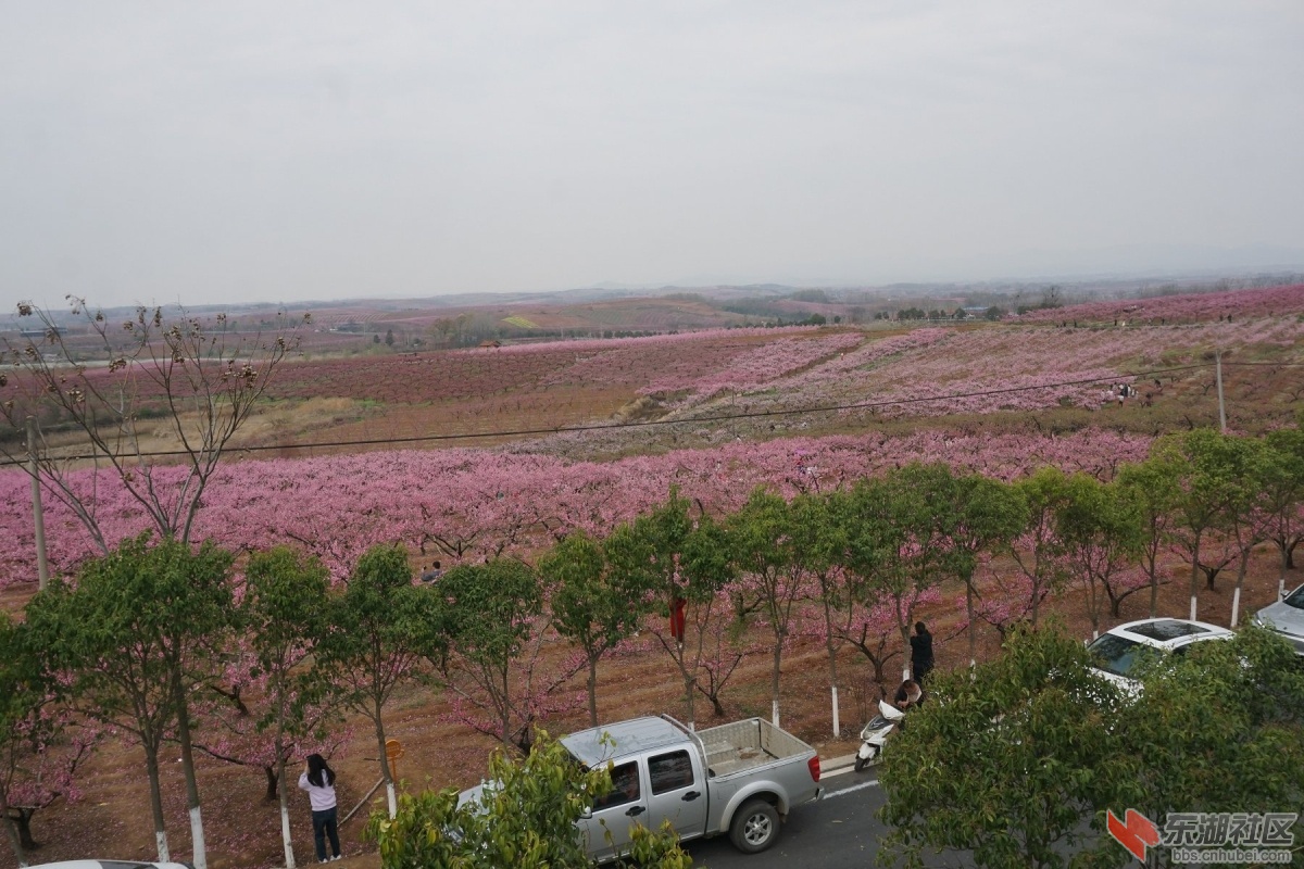DSC04266.JPG