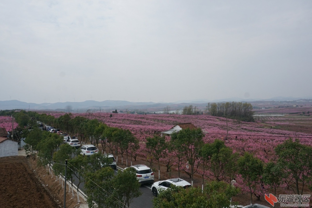 DSC04273.JPG