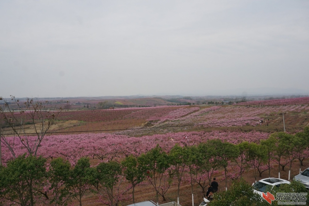 DSC04278.JPG