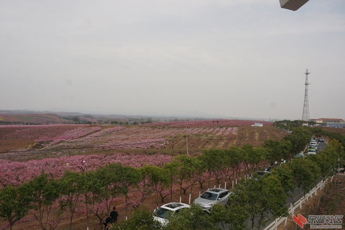 DSC04286.JPG