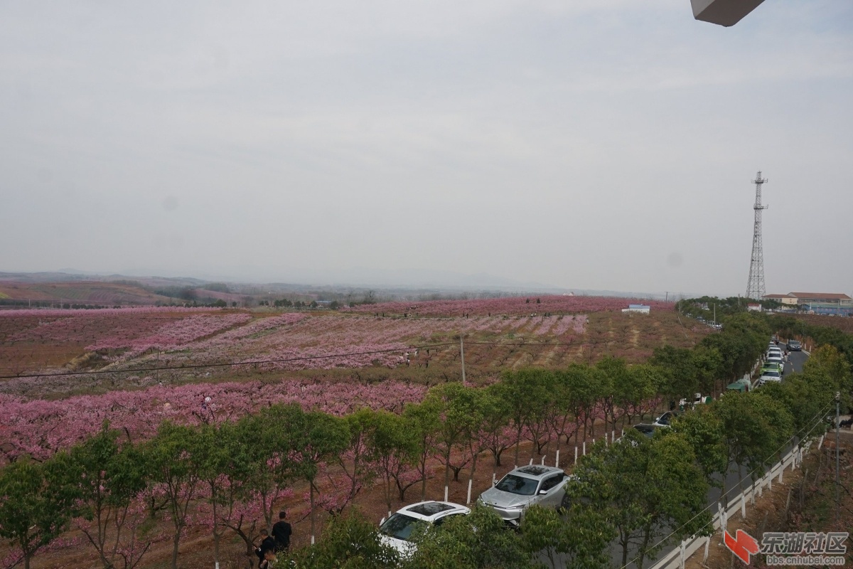DSC04284.JPG