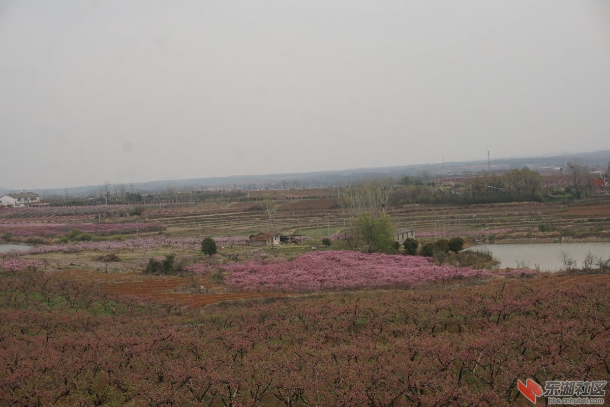 DSC04304.JPG