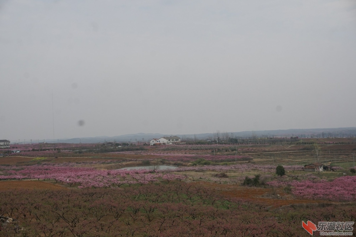 DSC04308.JPG