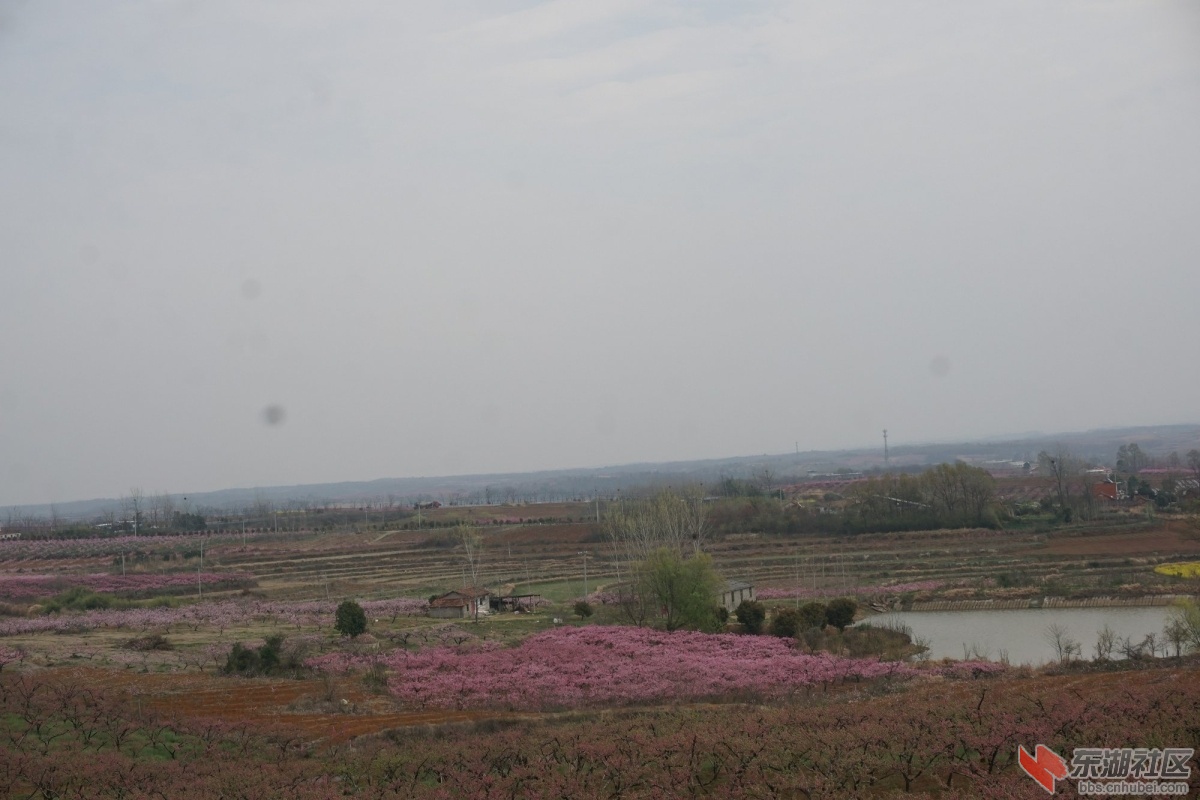 DSC04311.JPG