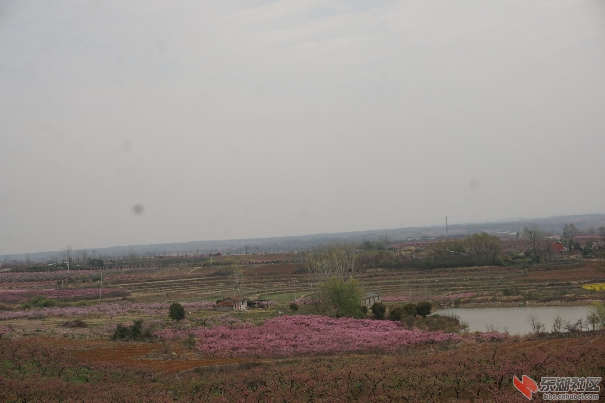 DSC04313.JPG