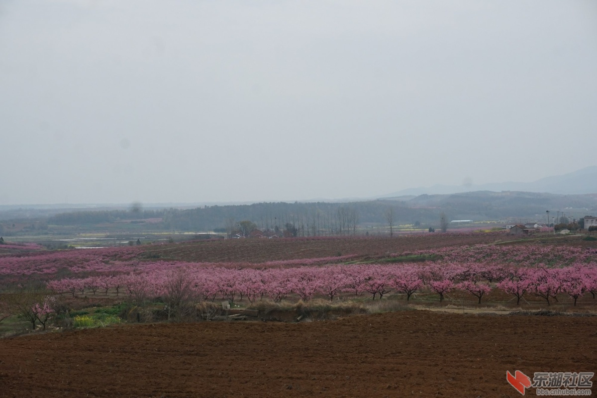 DSC04315.JPG