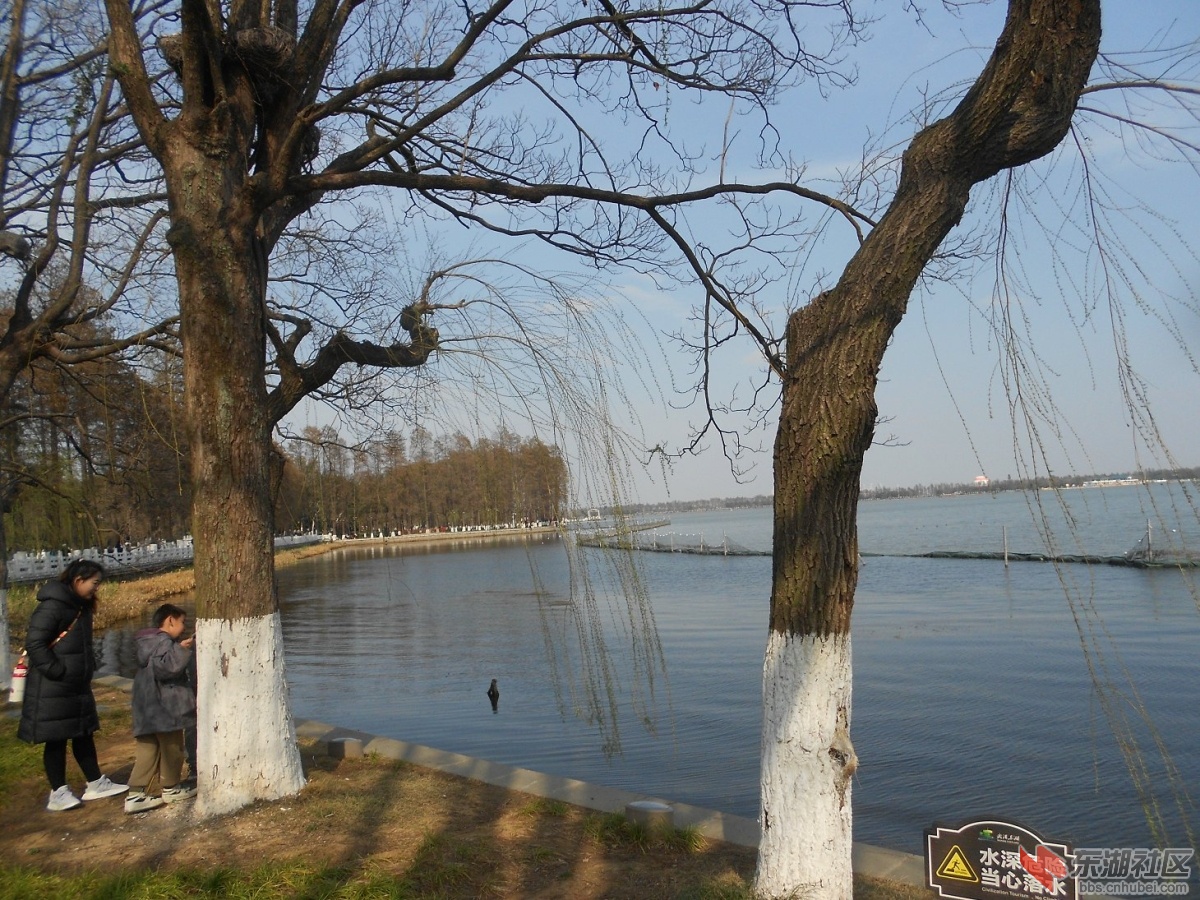 DSCN0489.JPG