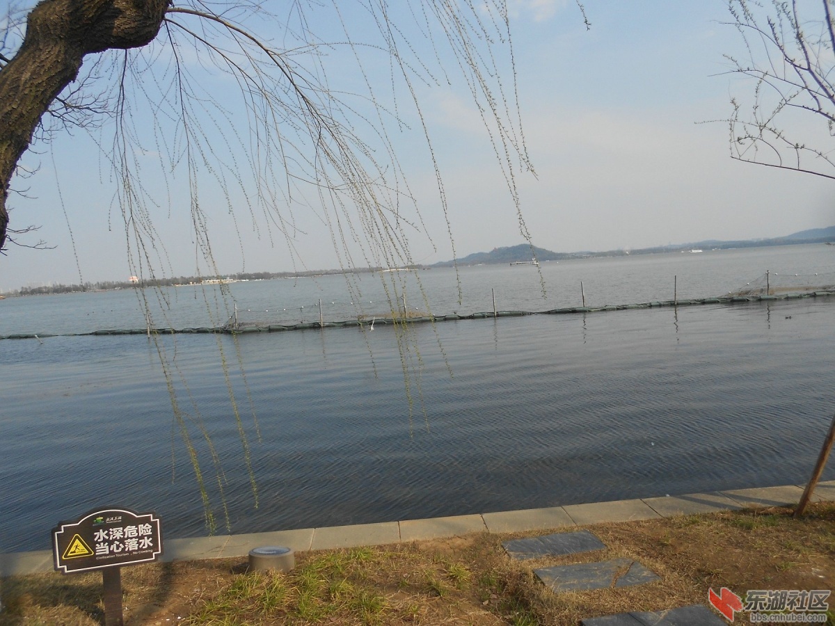 DSCN0491.JPG