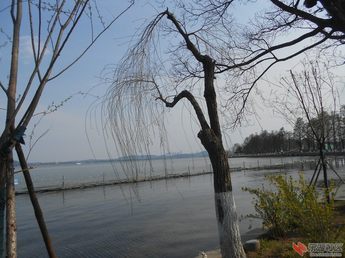 DSCN0493.JPG