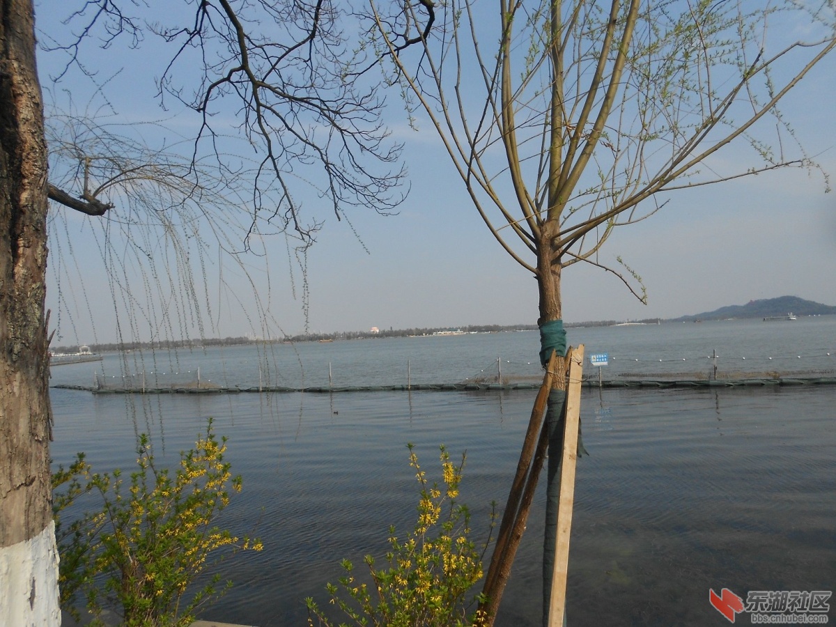 DSCN0495.JPG