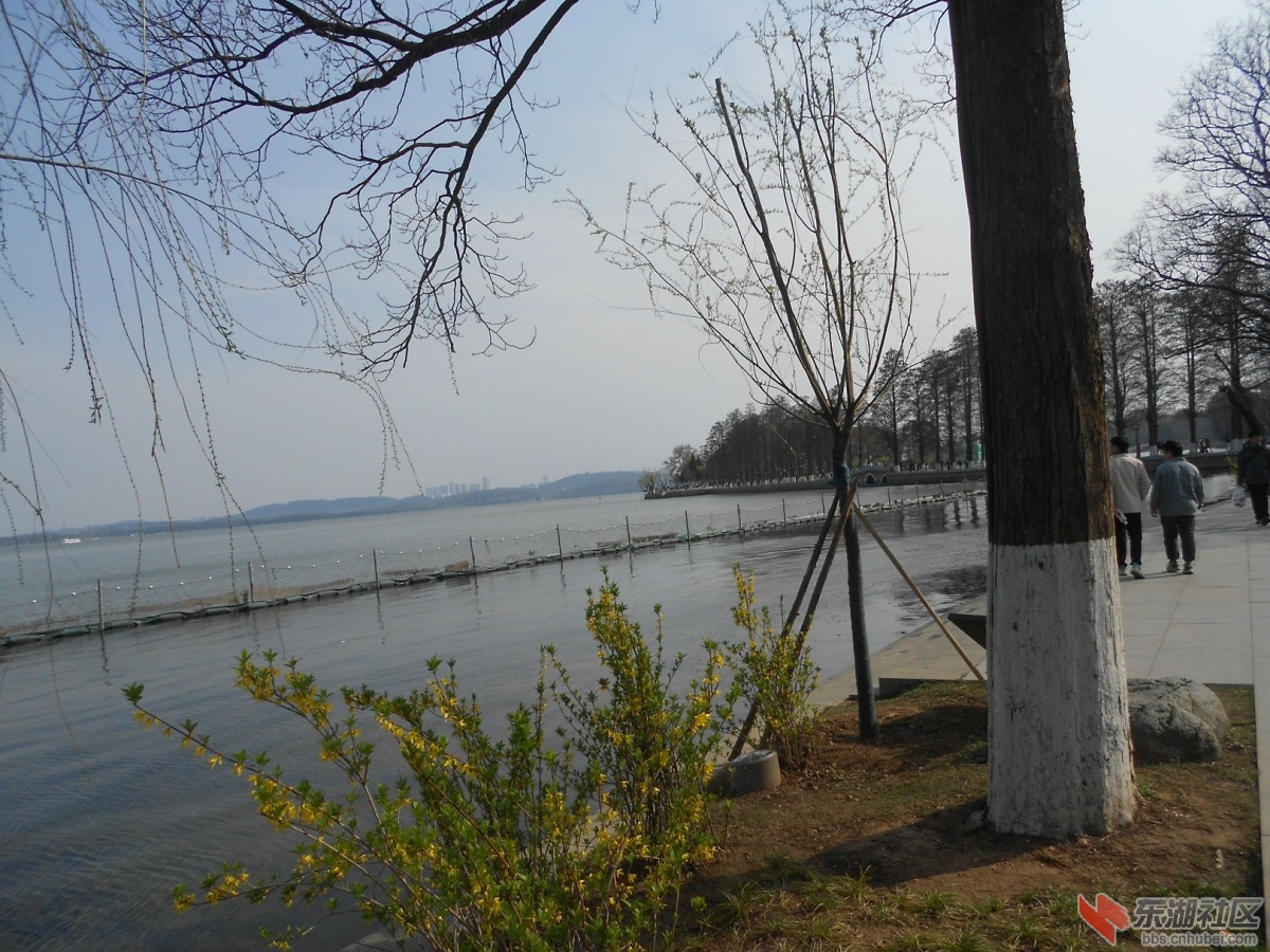 DSCN0494.JPG