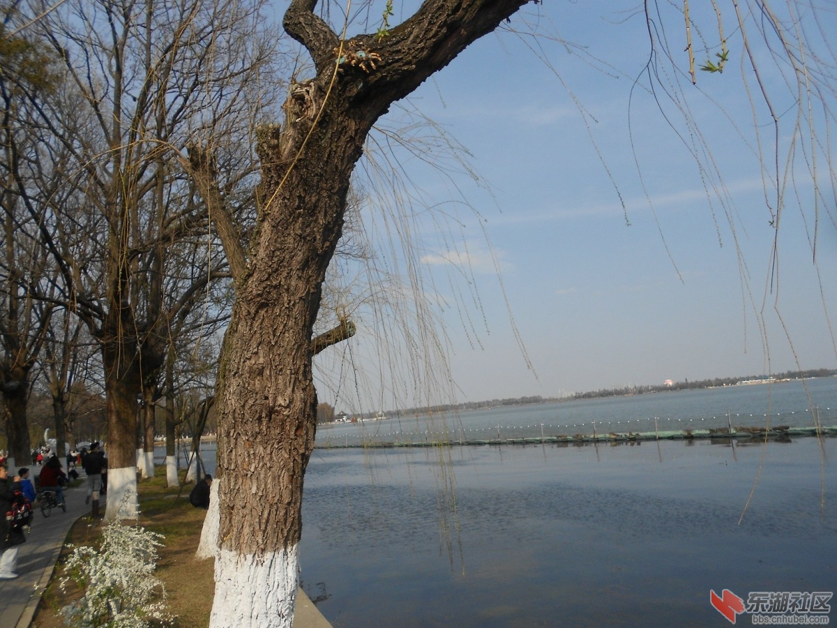 DSCN0500.JPG