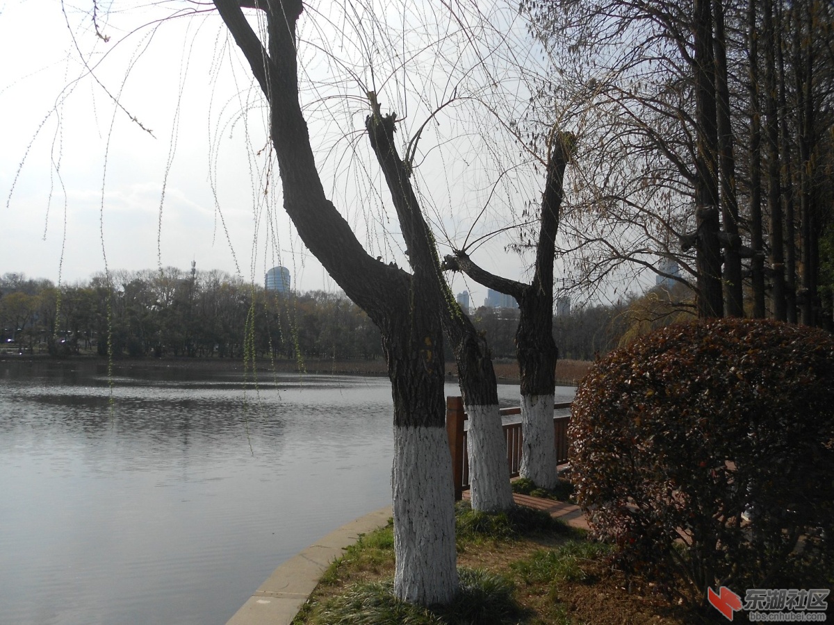 DSCN0501.JPG