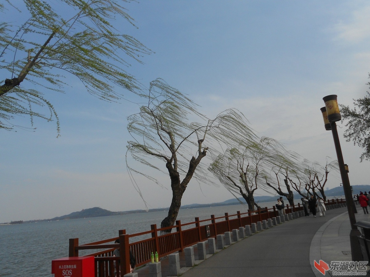 DSCN0509.JPG