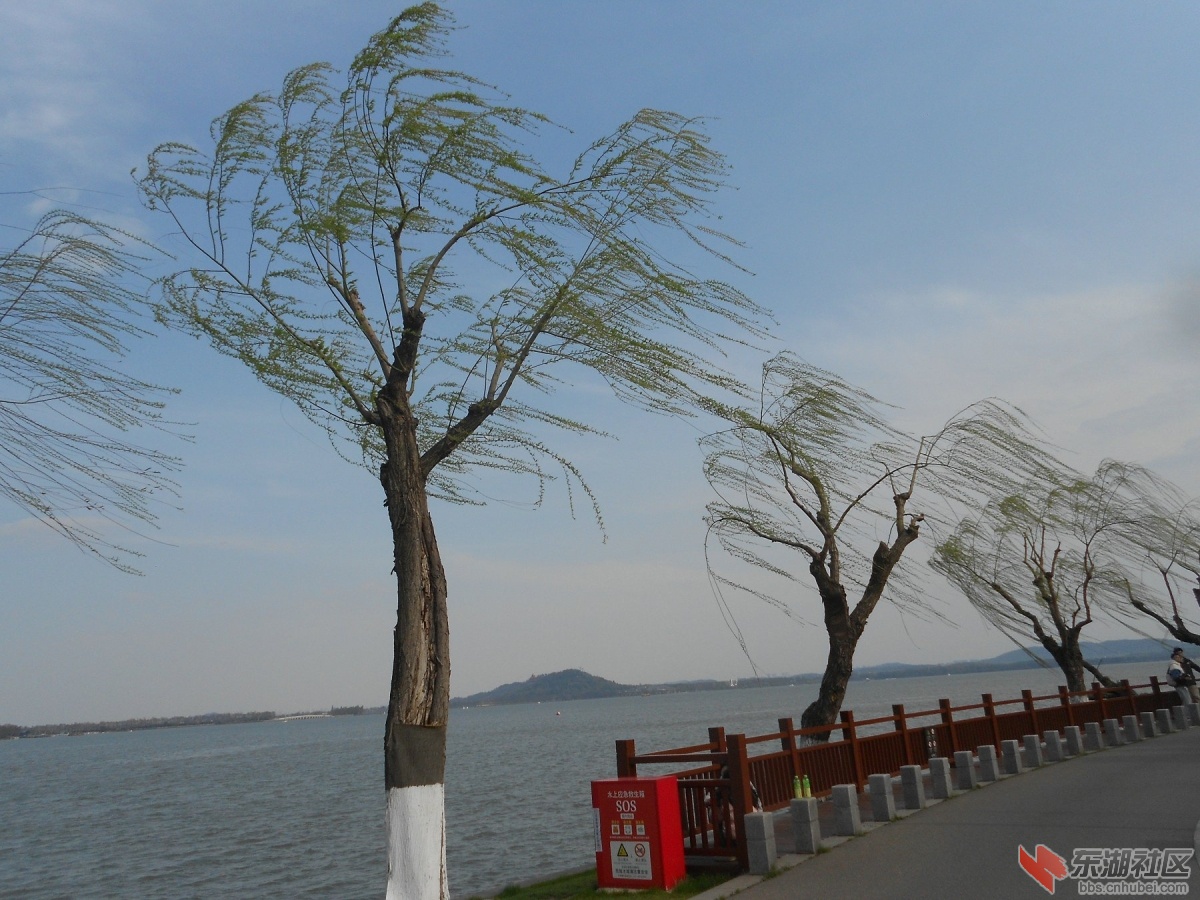 DSCN0508.JPG