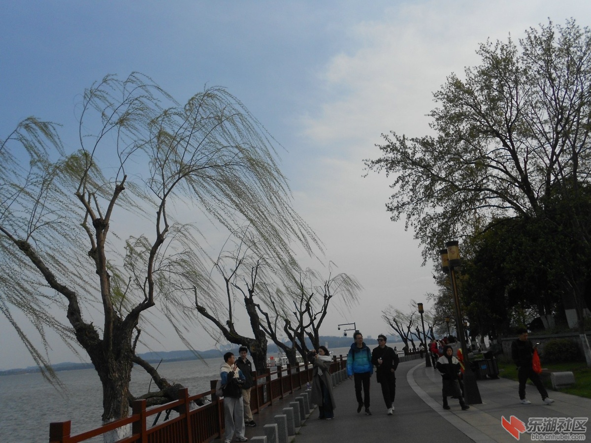 DSCN0511.JPG