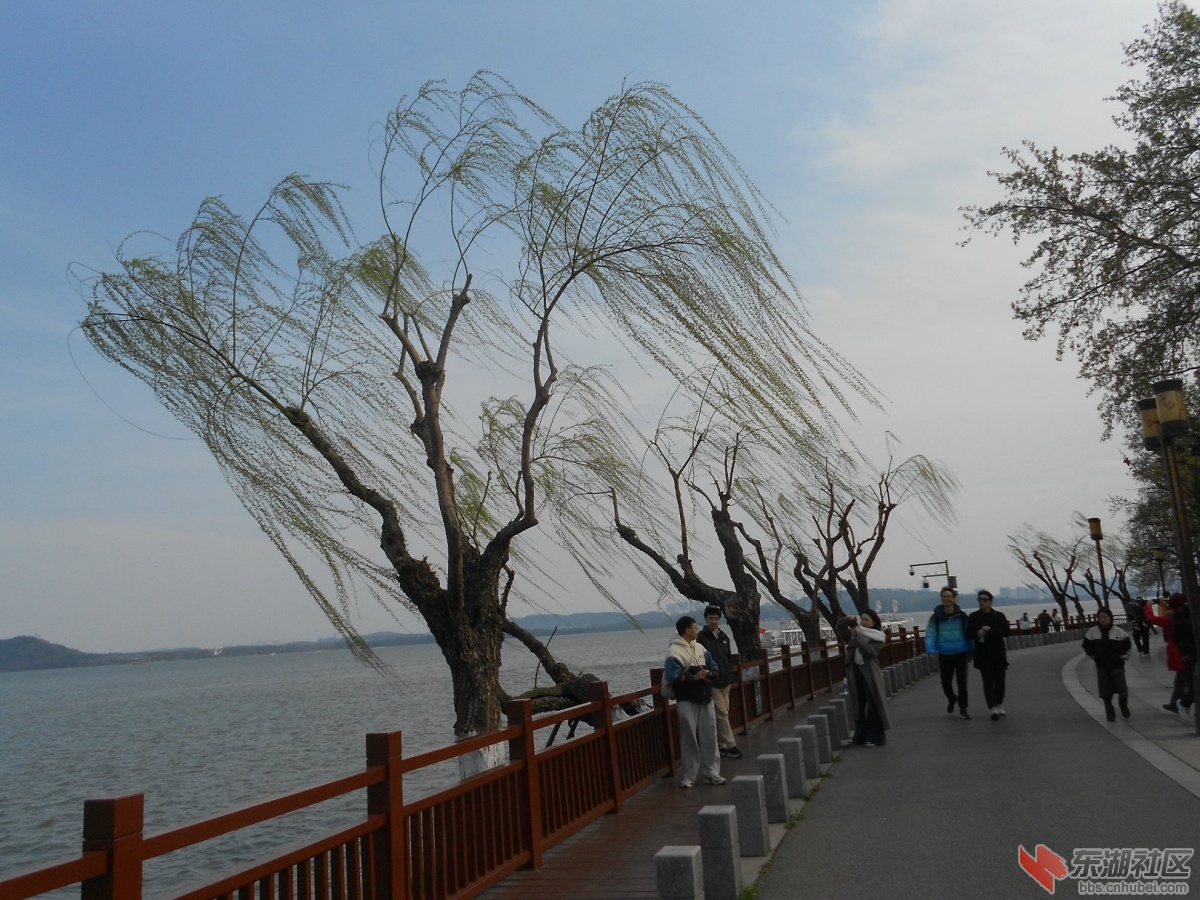 DSCN0510.JPG