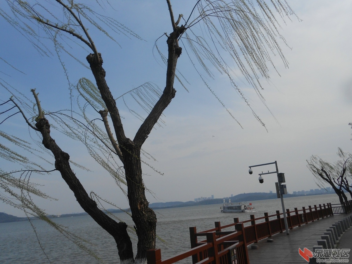 DSCN0512.JPG