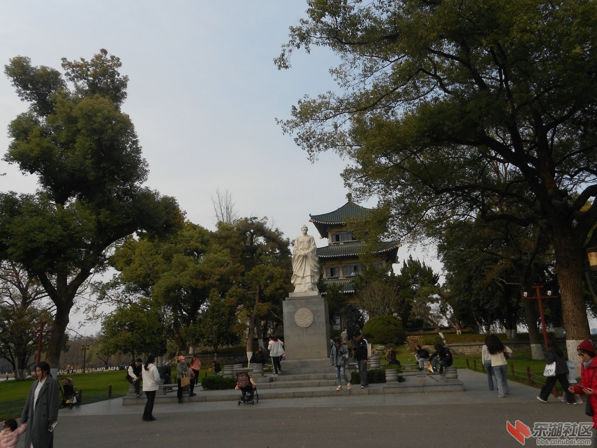 DSCN0517.JPG