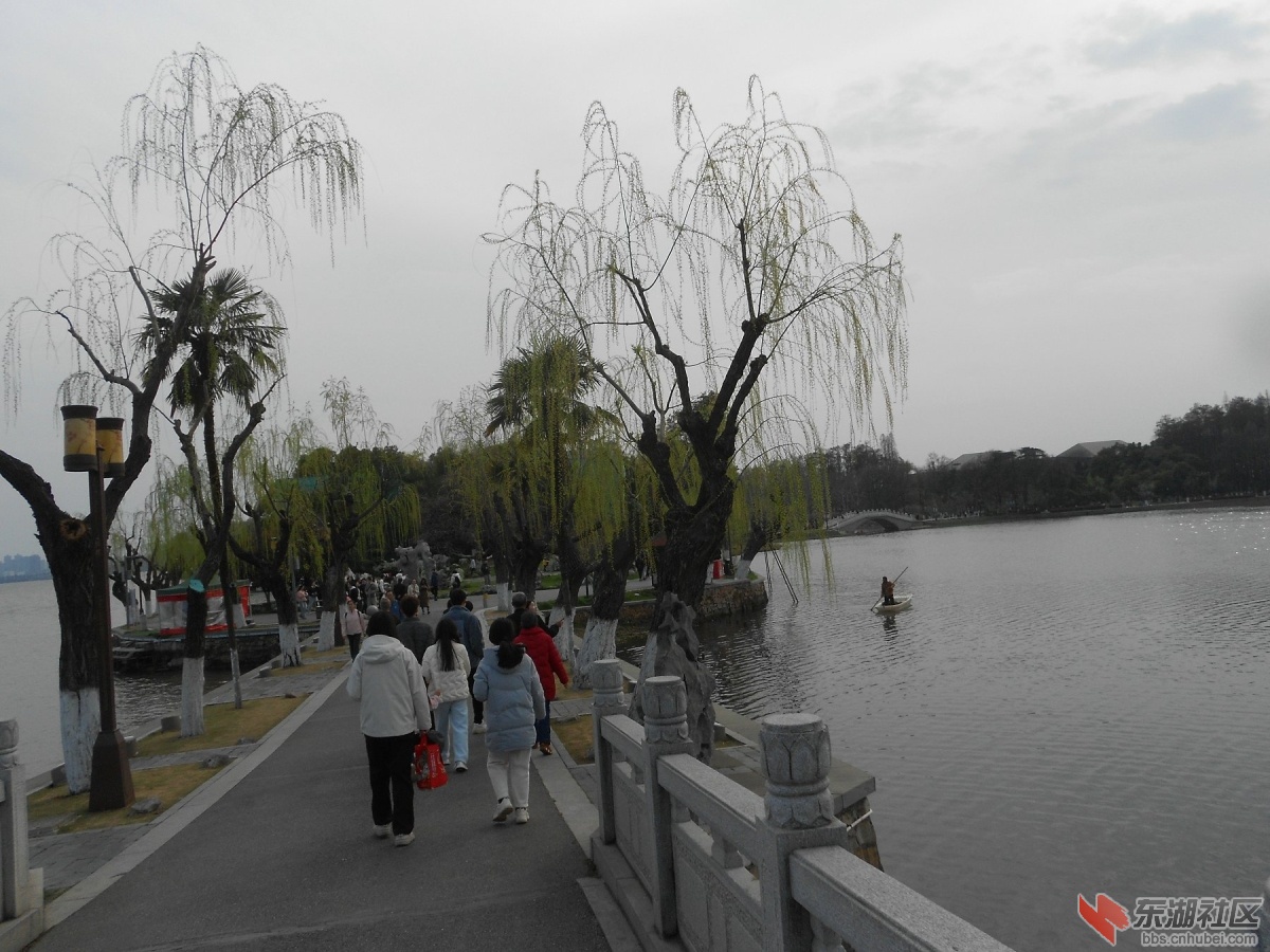 DSCN0528.JPG
