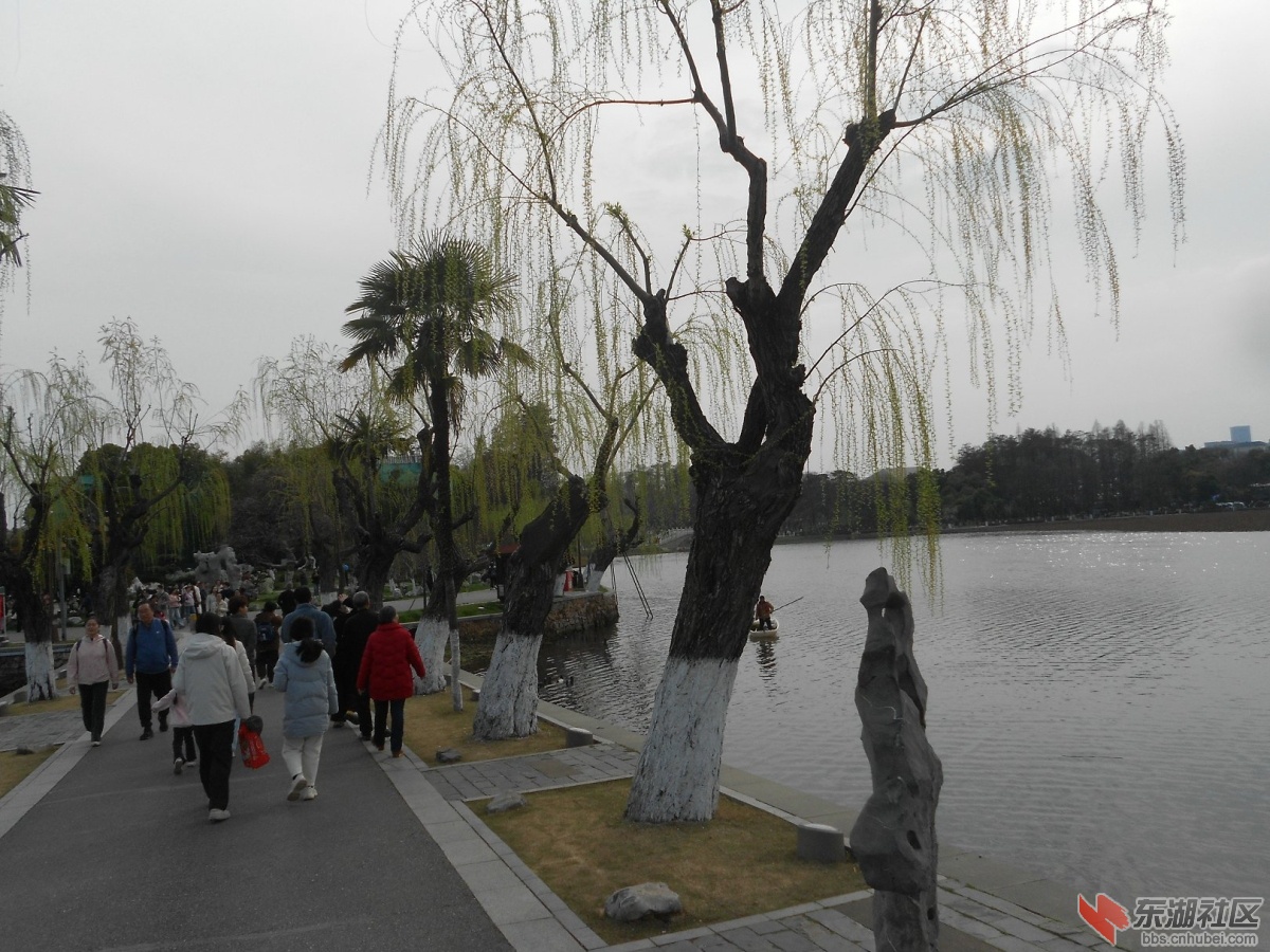 DSCN0529.JPG