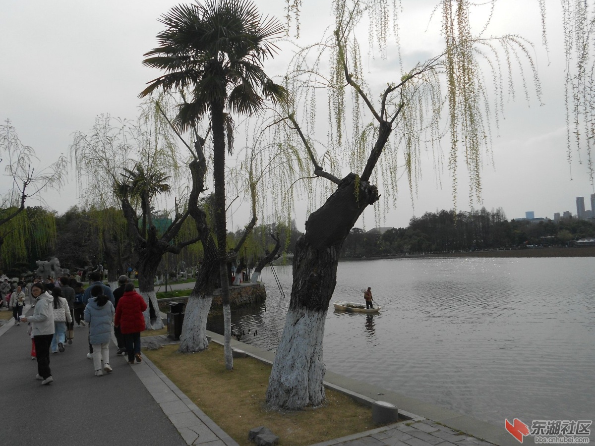 DSCN0530.JPG