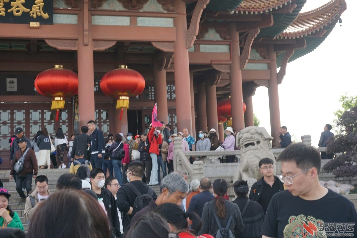 DSC01038.JPG