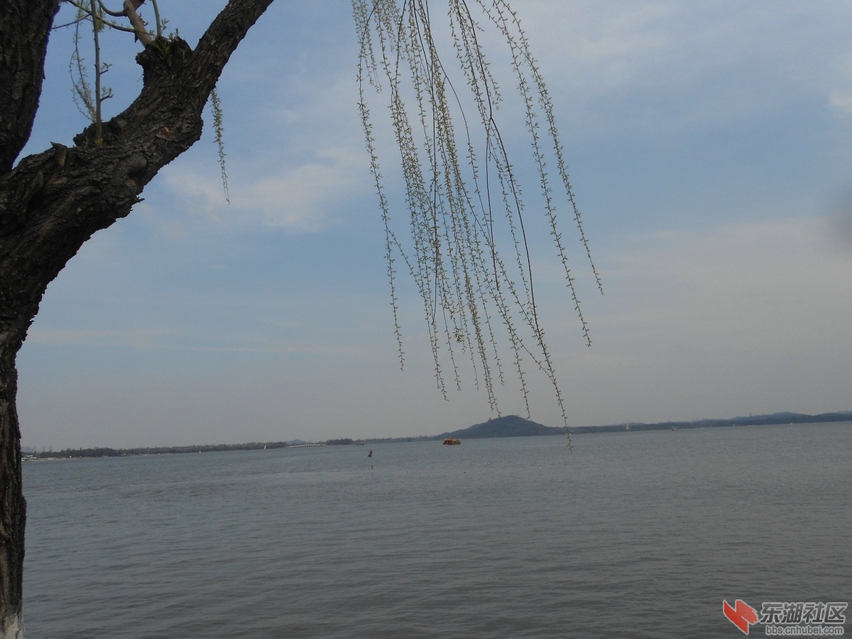DSCN0531.JPG