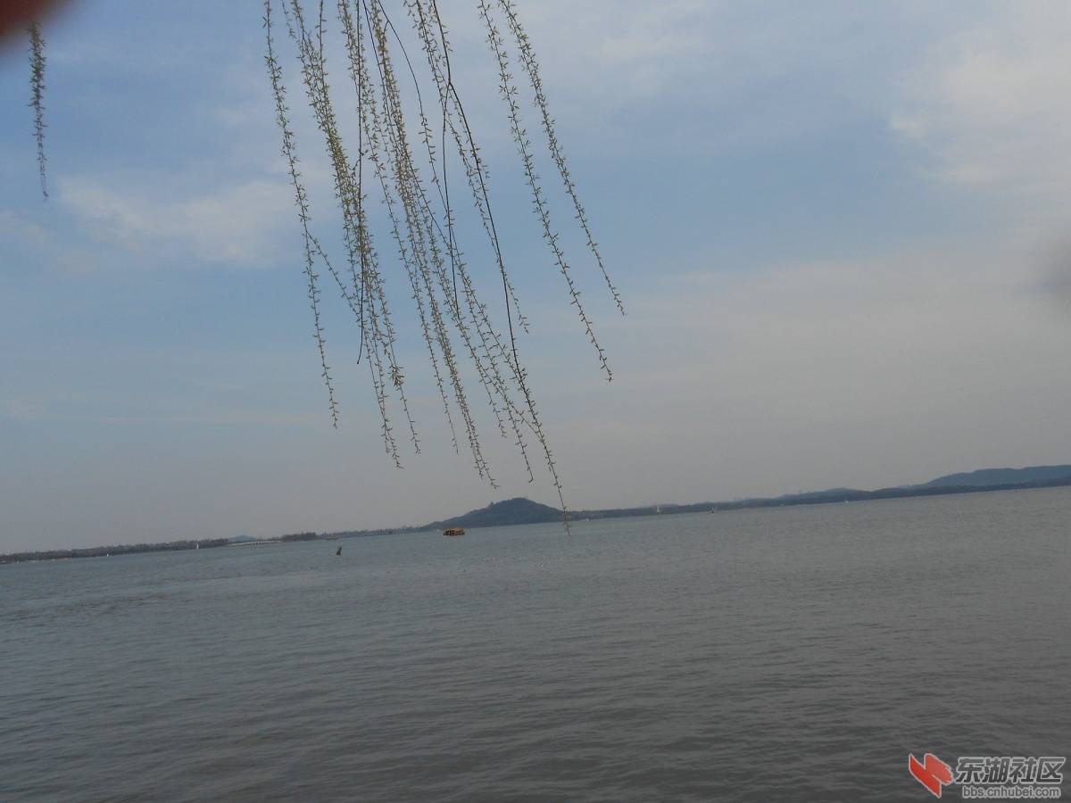 DSCN0532.JPG