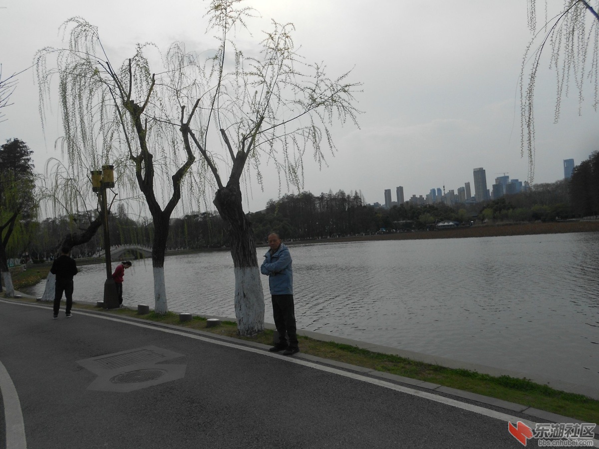 DSCN0533.JPG