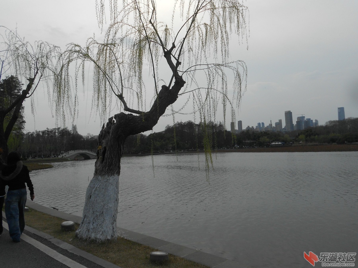 DSCN0537.JPG