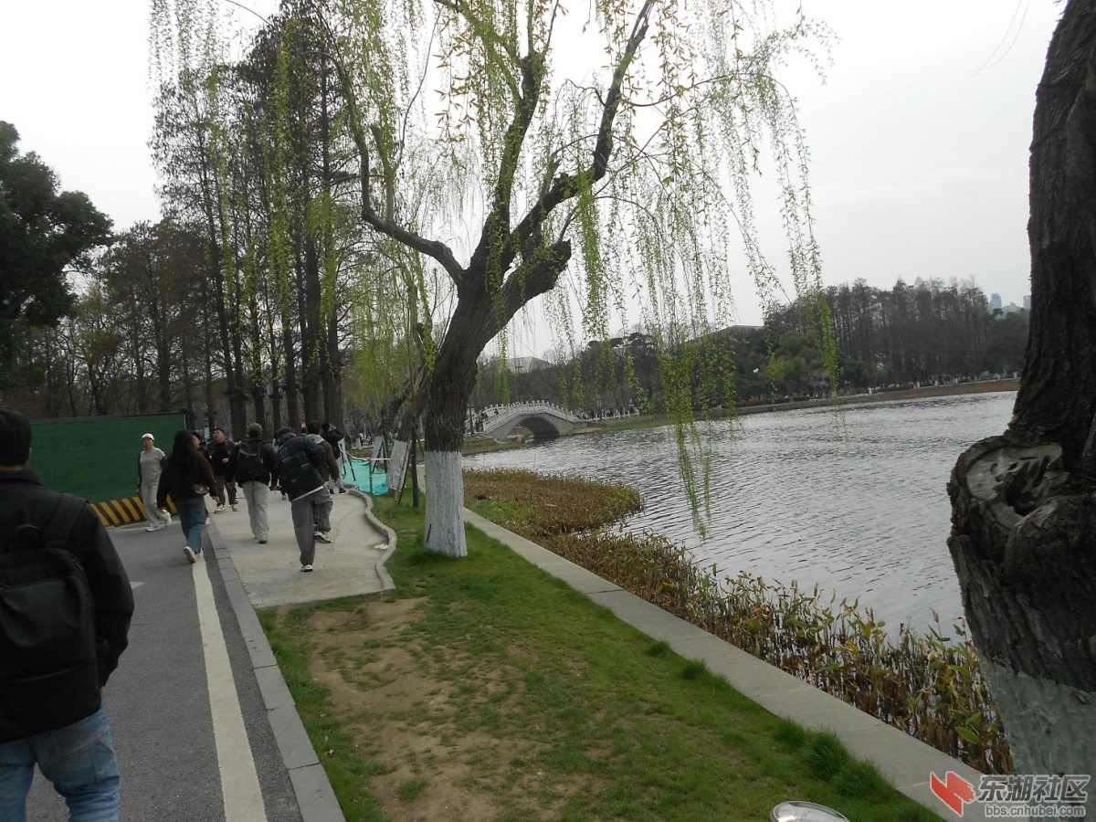 DSCN0542.JPG