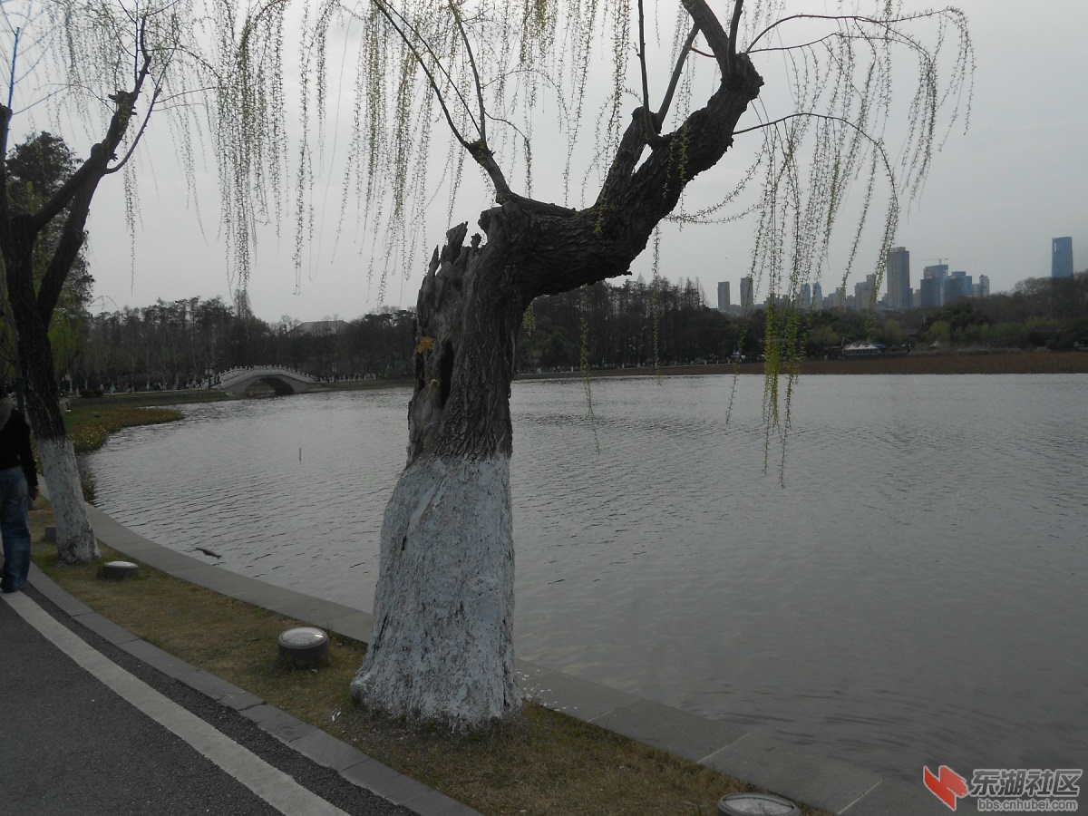 DSCN0538.JPG