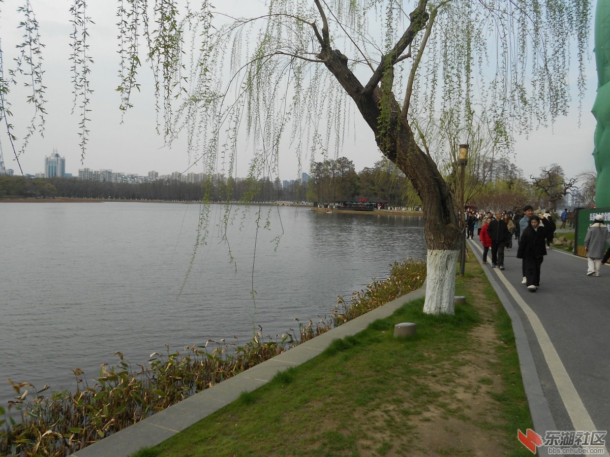 DSCN0544.JPG