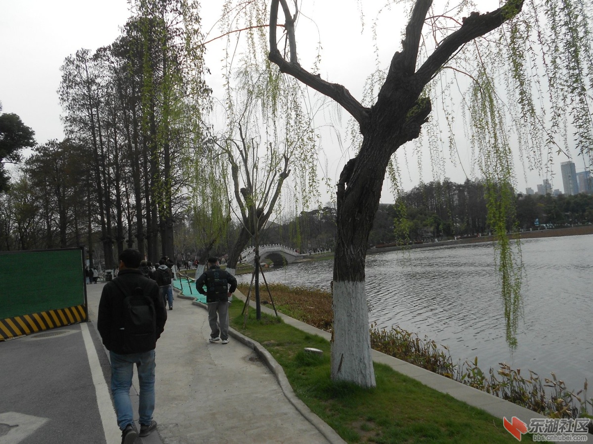 DSCN0543.JPG
