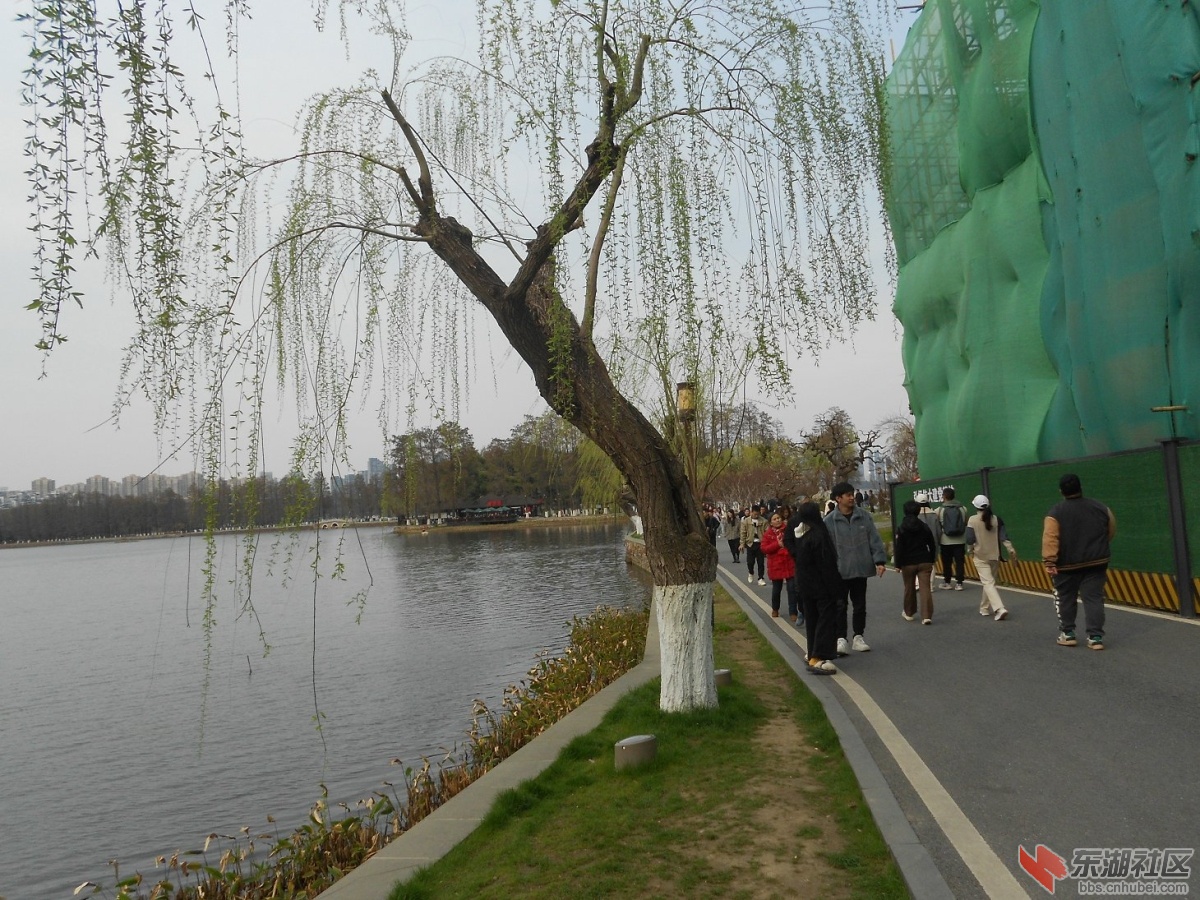 DSCN0545.JPG