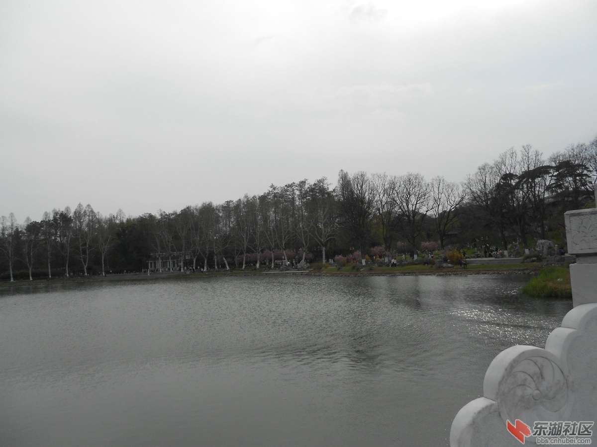 DSCN0547.JPG